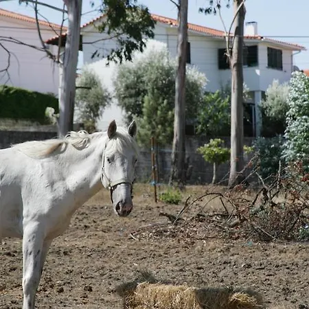 Πανσιόν Casa Santa Antonina - Registo 45778/al *